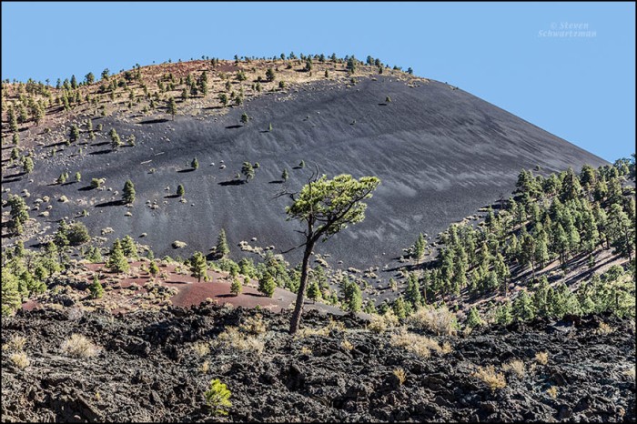sunset-crater-cinder-cone-with-pine-trees-3766